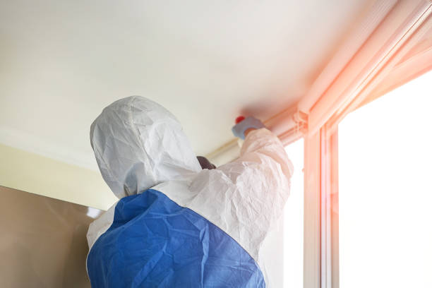 Environmental Consulting for Mold Prevention in Debary, FL